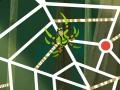 게임 Wild Kratts: Web-Tastic!