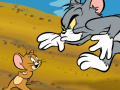 게임 Tom & Jerry in cat crossing