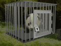게임 Baby Panda Escape 