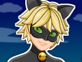 게임 Miraculous Ladybug Cat Noir
