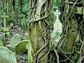 게임 Highgate Cemetery Escape