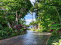 게임 Escape from Tropical Estate