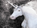게임 White Unicorn Hidden Stars