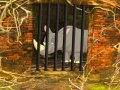 게임 Rhino Escape