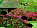 게임 Seasonal Garden Escape