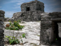 게임 Mystery of Mayan Stone Escape