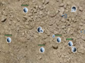 게임 Area51 Tower Defense