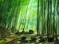 게임 Bamboo Forest Monkey Escape