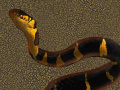 게임 Snake 