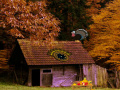 게임 Mysterious Turkey Forest Escape 