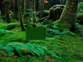 게임 Tropical Rain Forest Escape