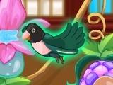 게임 My Sweet Bird