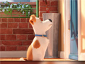 게임 Hidden Letters in The Secret Life of Pets