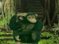 게임 Chimpanzee Forest Escape