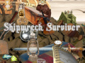 게임 Shipwreck Survivor