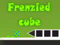 게임 Frenzied Cube