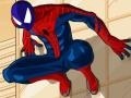 게임 Spiderman Costume