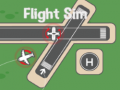 게임 Flight Sim