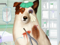 게임 Doctor For Dog With a Blog