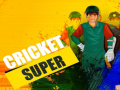 게임 Super Cricket      