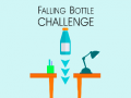게임 Falling Bottle Challenge