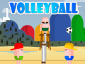 게임 VolleyBoll