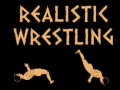 게임 Realistic wrestling