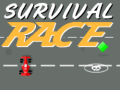 게임 Survival Race