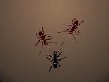 게임 Ants Arena