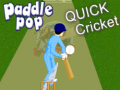 게임 Paddle Pop Quick Cricket