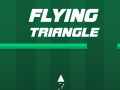 게임 Flying Triangle