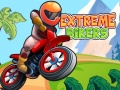 게임 Extreme Bikers