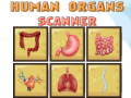 게임 Human Organs Scanner