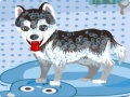게임 My Cute Dog Bathing