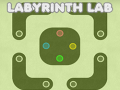 게임 Labyrinth Lab