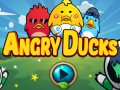 게임 Angry Ducks