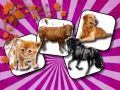 게임 Domestic Animal Memory Challenge