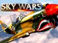 게임 Sky Wars