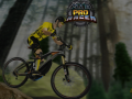 게임 MTB Pro Racer