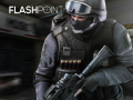 게임 Flashpoint