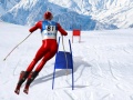 게임 Slalom Ski Simulator