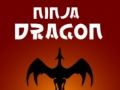 게임 Ninja Dragon