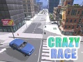 게임 Crazy Race