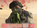 게임 Sunny Tropic Battle Royale