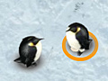 게임 Save the egg