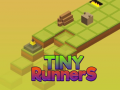 게임 Tiny RunnerS