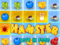 게임 Hamster Lost In Food