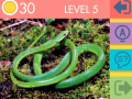 게임 15 Picture Quiz