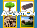게임 Assotiation 