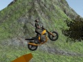 게임 Dirt Bike Rider